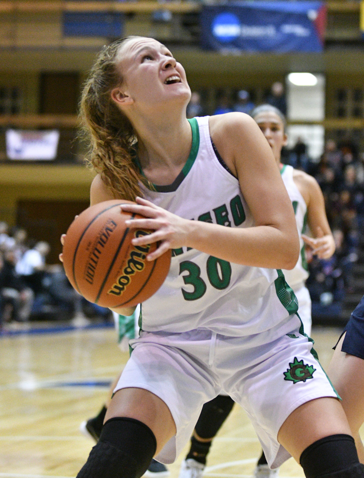 IHMVCU Shootout - Pleasant Valley vs Geneseo